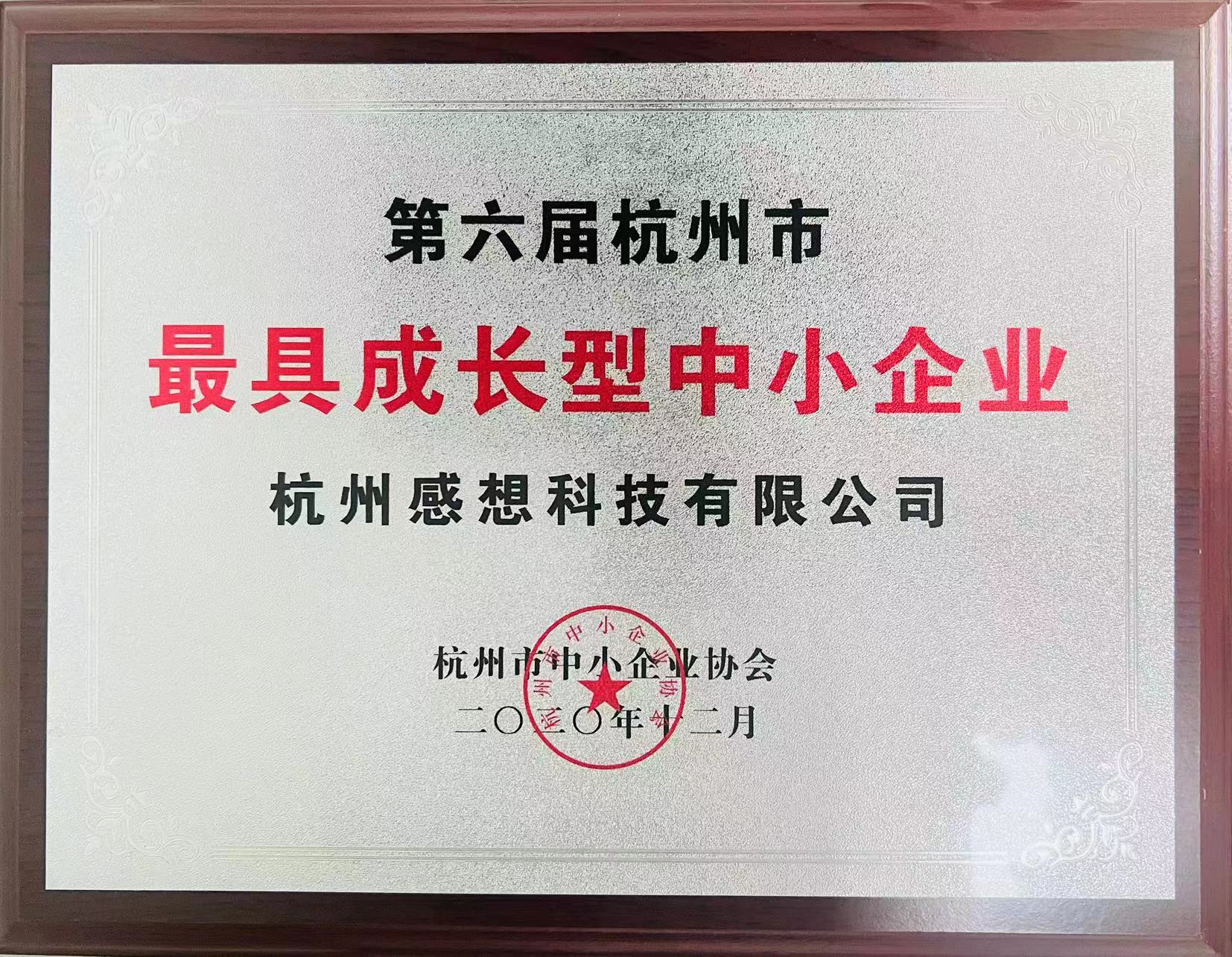 杭州市最具成长型中小企业（永利澳门6774.cσm）